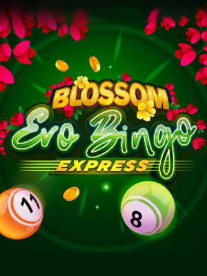 Blossom Evobingo Express